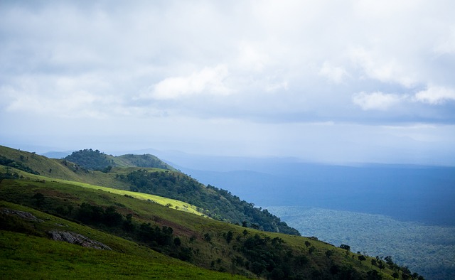 如何调整心 如何调整心