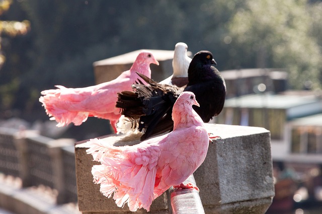 量子技术还 量子技术还