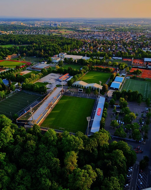 球迷們期待 球迷們期待