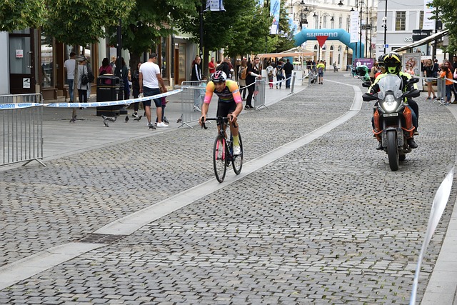 的历史长河 的历史长河