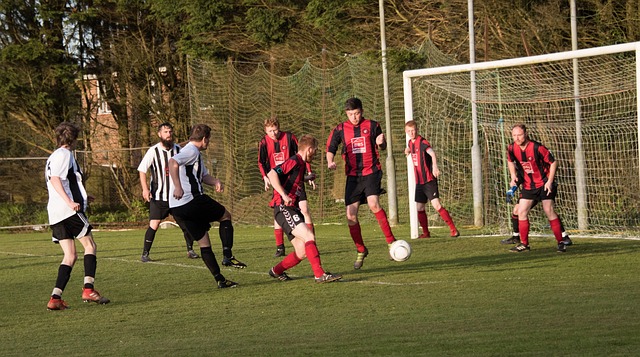 球员在新的 球员在新的