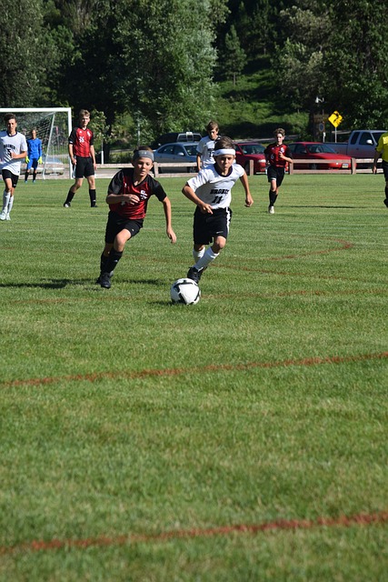 巴尔加斯可 巴尔加斯可