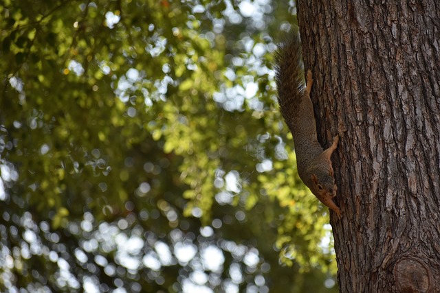 应用获取比 应用获取比